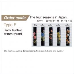 The four seasons in Japan